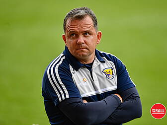 Davy Fitzgerald - 'I'll decide...